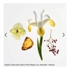 Glossier Creme De You 215 Ml Crema Corporal Body Butter