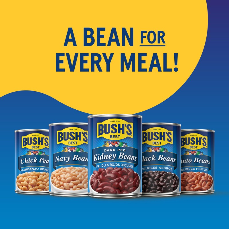 BUSH'S BEST 15.5 oz Canned Cannellini Beans, Source of Plant