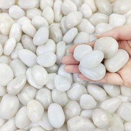 FANTIAN 10 lbs White Pebbles for Indoor Plants, 0.8-1.2 Inch Small White River Rocks Stones for Planters, Vases, Fish Tank, Garden, Landscaping, Top Dressing and Bottem Drainage