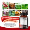 Berberine Supplement - Enhanced with Ceylon Cinnamon, Turmeric, Milk Thistle,