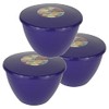 3 Pack Plastic Pudding Bowls with Lids Purple 1.5 Pint