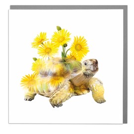 Lola Design - Valentine’s Day Cards - Blank Cards and Envelopes - Giant Tortoise