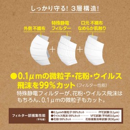 Hakugen Earth Comfort Guard Standard Mask, 40 Pieces
