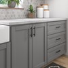 Richelieu Hardware BP65096900 Padova Collection 3 3/4-inch (96 mm) Center-to-Center