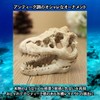 Charmoon Aquarium Object Dinosaur Fossil Bone Cave Shelter Ornament Figurine
