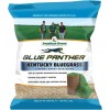 Jonathan Green Blue Panther Kentucky Blue Grass Blend Seed Mix,