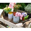Set of 2 Potting Shed Round Metal Garden Storage Tin