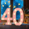 Light Up Number,Two Pink Glitter Number 40 Signs, Night Lights,
