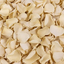 Petals and Roses Freeze Dried Rose Petal Confetti | Natural & Biodegradable for Weddings, Cream, 2 Litres