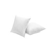SNUG&COZY Luxury Goose Down Feather Pillow Inserts - 22x22IN, Double