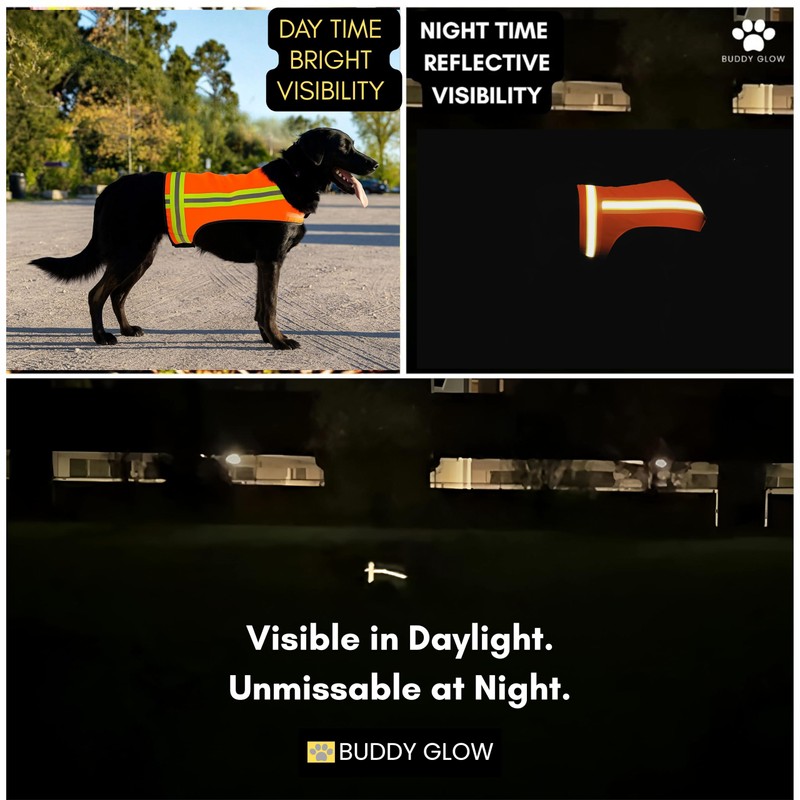 Reflective Dog Vest. Hi Visibility Blaze Orange Hunting Safety Vest