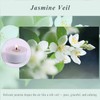Scented Tea Lights Candles, Jasmine Veil, 8 Pack – Elegant