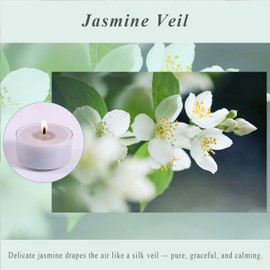 Scented Tea Lights Candles, Jasmine Veil, 8 Pack – Elegant Gray Scented Tealight Candles– 100% Palm Wax – 6 Hour Burn Time Aromatherapy Tea Light Votive Candle for Bedroom, Bath, Spa, Gift
