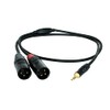 Digiflex HIN-1K-2XM-10 10 Foot Pro Splitter Cable -Mini TRS to