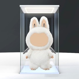 Acrylic Display Case with LED Light Top for Collectibles