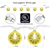 Konictom 8.5Ft Lemon Lights,Lemon Fairy Lights with 10 Pack 3D