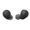 Sony Sony WF-C700N Truly Wireless Noise Canceling in-Ear Bluetooth Earbud