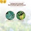 Solabiol Basic Material Sodium Hydrogen Carbonate, Natural Defence Against Fungal