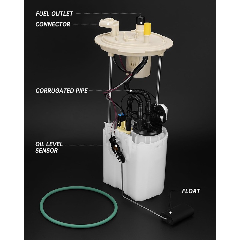 E2541MFuel Pump Assembly
