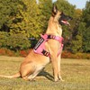 Belababy Tactical Anti Pull Dog Harness Small Medium Large Dog,