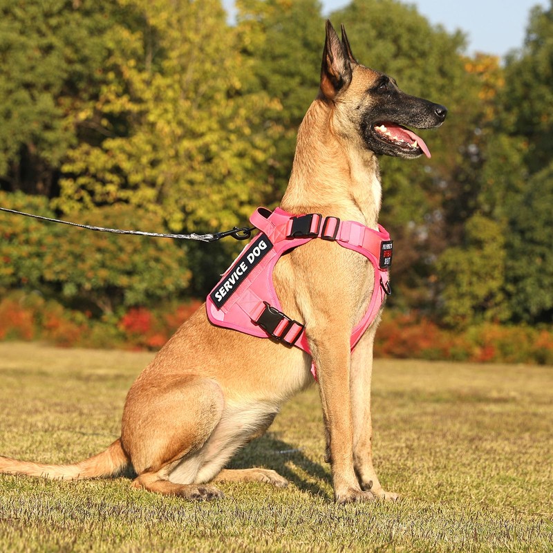 Belababy Tactical Anti Pull Dog Harness Small Medium Large Dog,