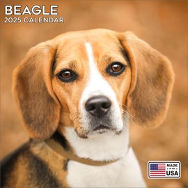 2025 Beagle Calendar - Dog Breed Wall Calendar - 12 x 24 Open - Thick No-Bleed Paper - 14 Month Planner Calendar Organizing & Planning