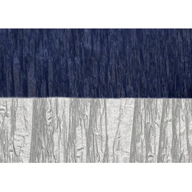 K-Kraft USA-Made Hanging Decorative Crepe Paper Streamers for Birthday, Party, Holiday, School, Wedding, Shower, or Graduation (1 Navy + 1 Silver Metallic)