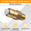 678169004 1/4" Thermal Release Valve for Pressure Washer