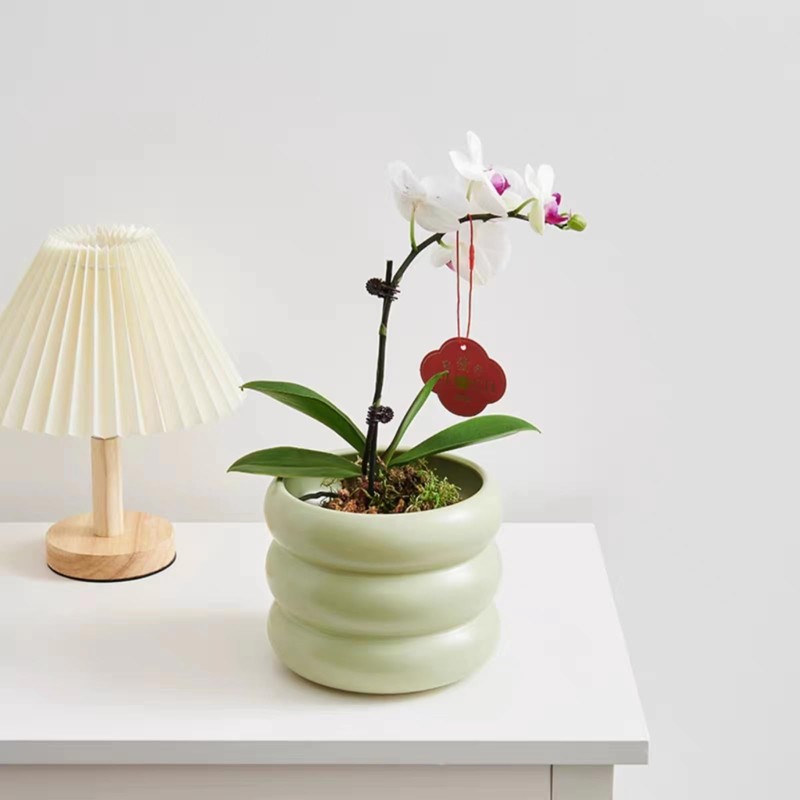 SANDYBAYTAS Ceramic Plant Pot Indoor, 4.5 Inch Flower Pot with