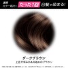 Syoss Color Treatment Dark Brown 180 grams (x 1)