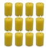 12 Pack 2x3 Inch Citronella Pillar Candles for Outdoor Indoor,