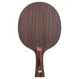 STIGA Destiny Carbon, Master – Pala da ping-pong per gioco aggressivo in legno e fibra di carbonio, Alto controllo e sensibilità, per giocatori che vogliono provare la fibra di carbonio