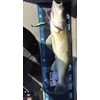 Major Fish Fish Tape Measure XL Ruler 140 cm x