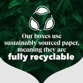 PG Tips Original | Black Tea Bags Bulk | One Cup | String & Tagged | Refreshing & Flavourful | 100 Plant Based Biodegradable Teabags