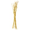 Green Floral Crafts Curly Willow Branches (Gold Glitter, Gold Glitter)