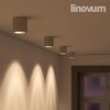 linovum Cori Pivoting Surface-Mounted Spotlight, White and Brushed Aluminium with