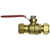 Proline 107-023NL Ball Valve, 1/2"
