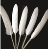 Gregory Crafts & Gifts White Goose Quill Style Feather x