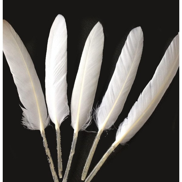 Gregory Crafts & Gifts White Goose Quill Style Feather x