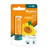 Himalaya Sun Protect Lip balm with SPF 50 and Protection