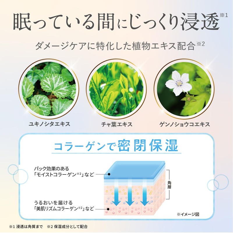 SEAC Setagaya Natural Foods Wrinkle Improvement All-in-One Wrinkle Improvement Moisturizing