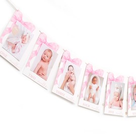 LINLULU Pink Bow Monthly Milestones Photo Banner - 1st Birthday Photo Banner for Baby Girls, Baby Girls Newborn to 12 Months Photo Display, Bow Theme 1st Birthday Decorations