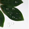 White Clear Dewdrop Water Droplets Embellishments for DIY Crafts Card