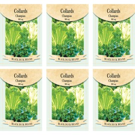 Set of 6 Vegetable Seed Packs - Create a Deluxe Garden - All Seeds are Heirloom - 100% Non-GMO (Collards Champion)