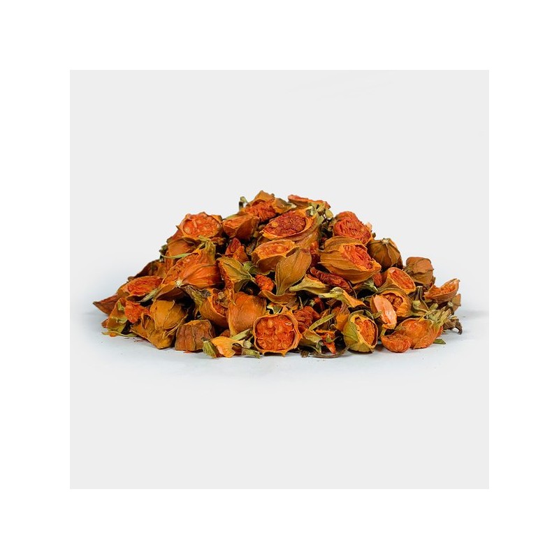 Oherb 국내산 치자 치자열매 절 250g (국내산 100%) Domestic Gardenia