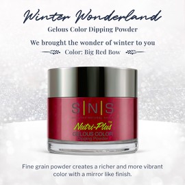 SNS Nails Dipping Powder Gelous Color - Winter Wonderland Collection - WW34-1oz