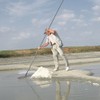 Guerand Salt / Fine Salt / Cell Marine (Fine) /