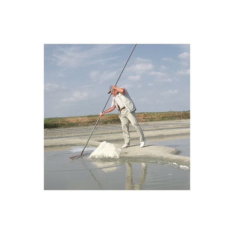Guerand Salt / Fine Salt / Cell Marine (Fine) /
