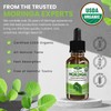 Pura Vida Moringa Leaf Liquid Extract Drops Supplement Fitness