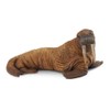 COLLECTA Collcta Walrus 88569 4.7 x 2.4 inches (12 x